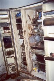 flood-fridge.jpg.pagespeed.ce.pDKaFF2G99
