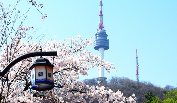 n-seoul-tower-spring