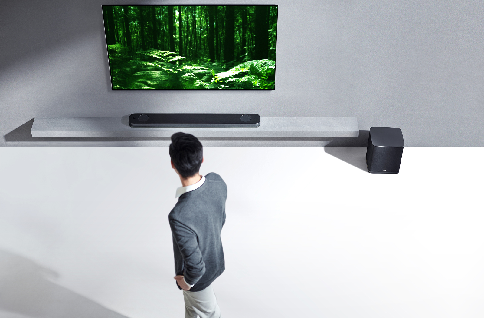 LG OLED TV dolby atmos