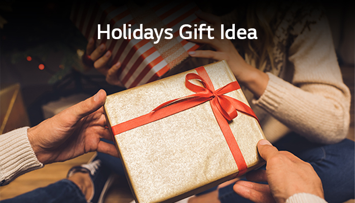 Holidays gift idea